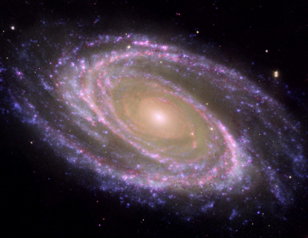 M81 galaxy