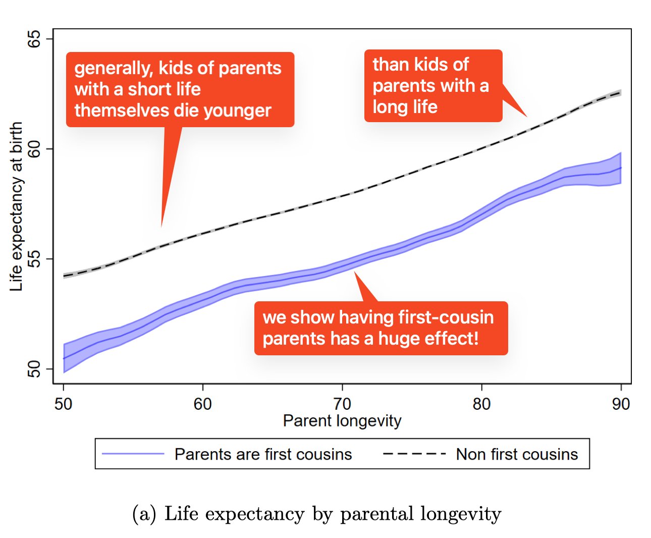Graph showing life expectancy of children versus parental longevity. Children’s lifespan is correlated with their parents’, and children of cousins live consistently around three years shorter, regardless of parental longevity.